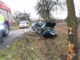 obrázek ke článku: Vysoká rychlost příčinou autonehody u Kounova na Rakovnicku